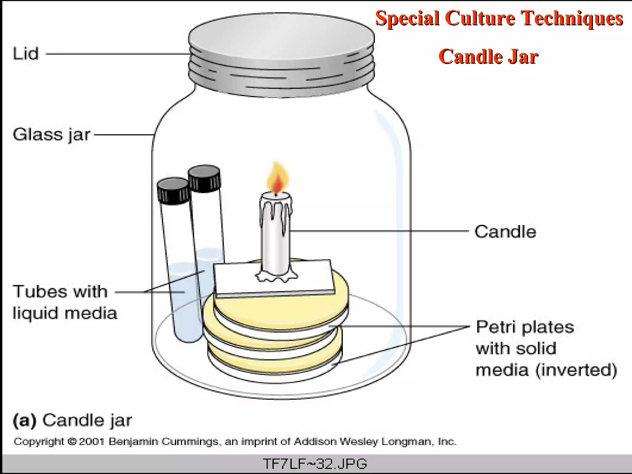 Special Culture Techniques
      Candle Jar




                   37
 