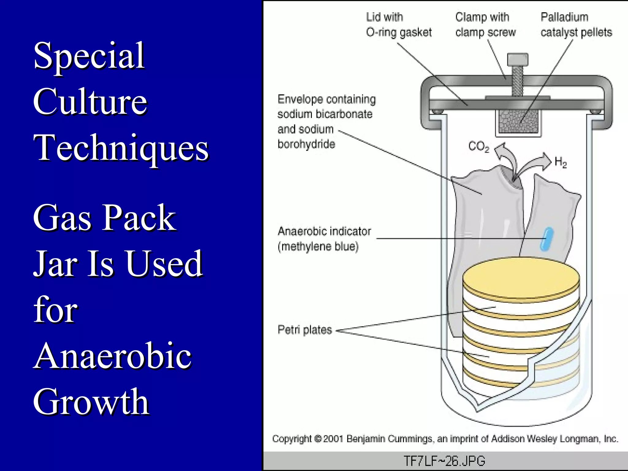 Special
Culture
Techniques
Gas Pack
Jar Is Used
for
Anaerobic
Growth
              38
 