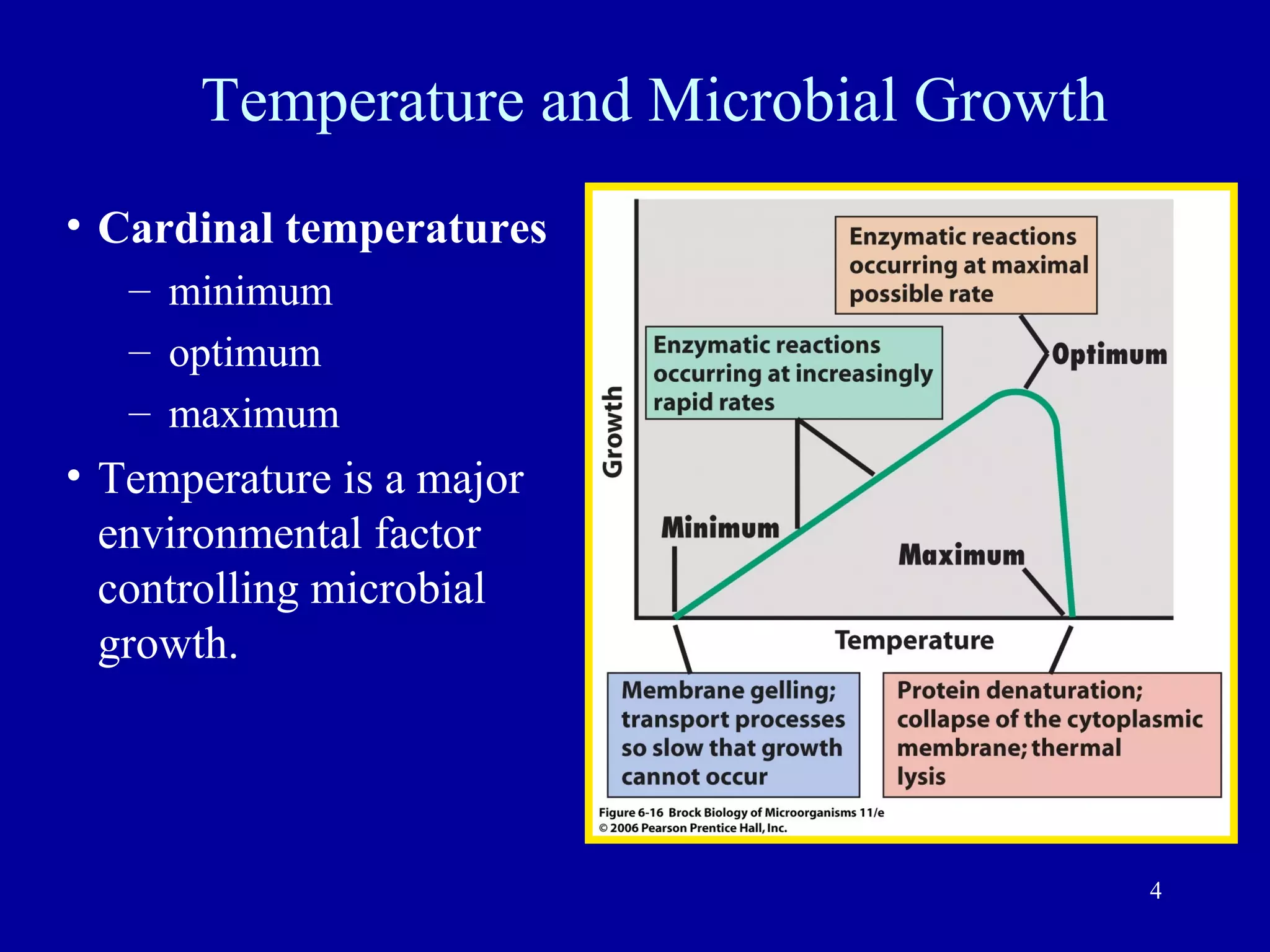 Temperature and Microbial Growth
• Cardinal temperatures
   – minimum
   – optimum
   – maximum
• Temperature is a major
  environmental factor
  controlling microbial
  growth.




                                          4
 
