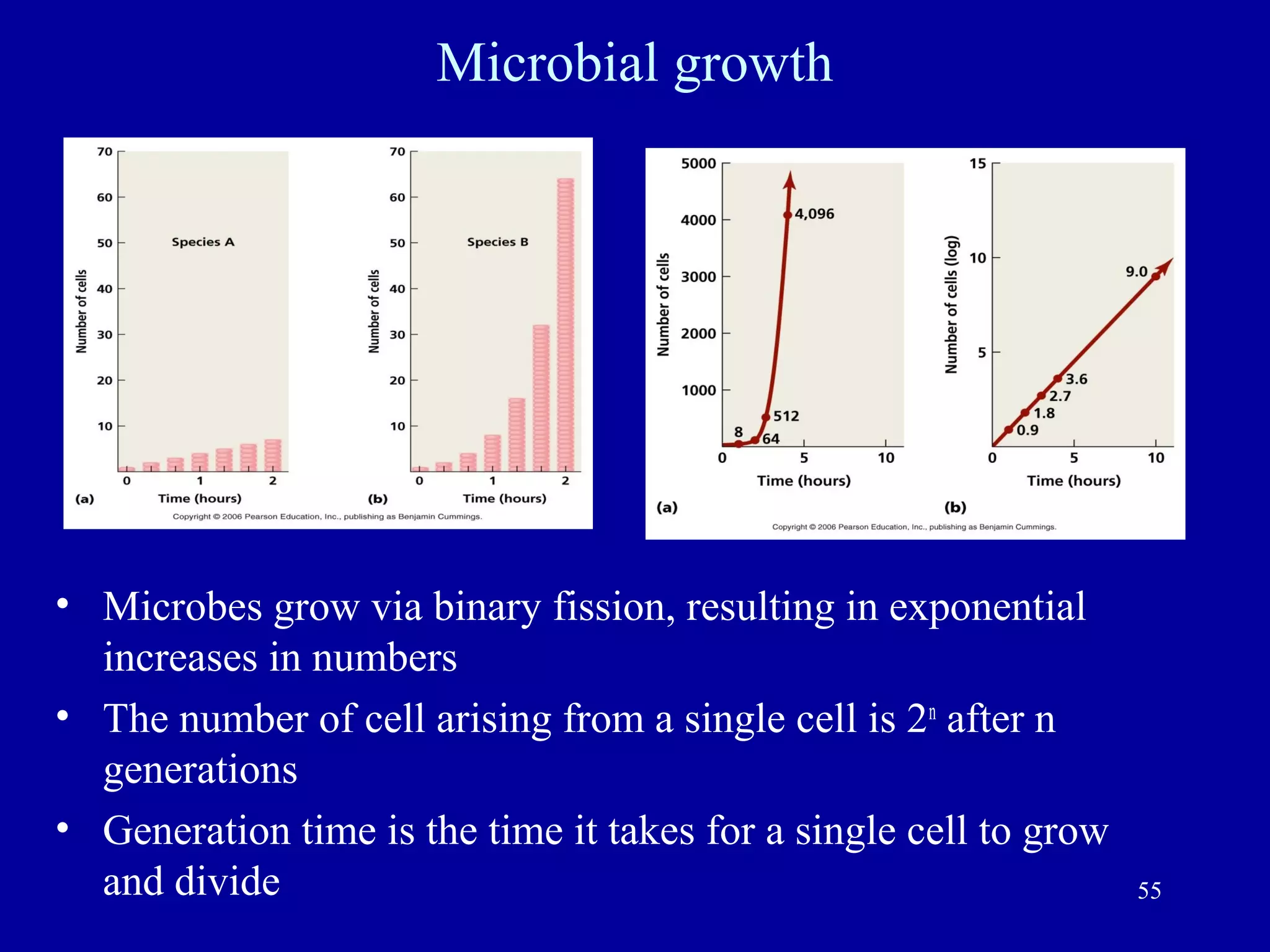 Microbial growth




• Microbes grow via binary fission, resulting in exponential
  increases in numbers
• The number of cell arising from a single cell is 2n after n
  generations
• Generation time is the time it takes for a single cell to grow
  and divide                                                       55
 