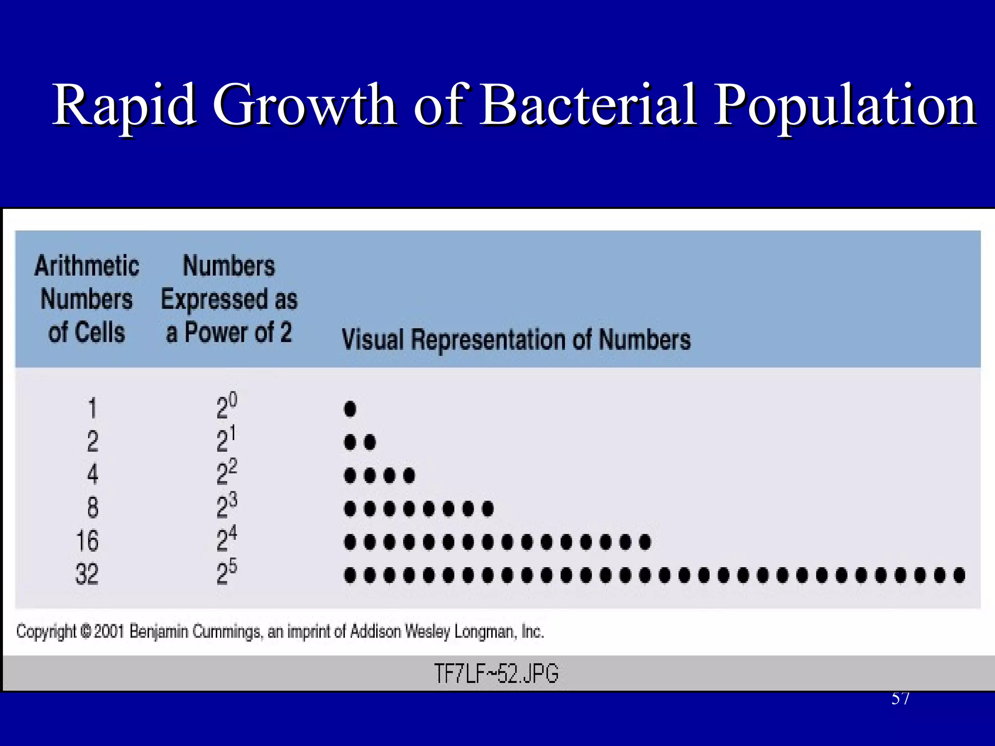 Rapid Growth of Bacterial Population




                                57
 