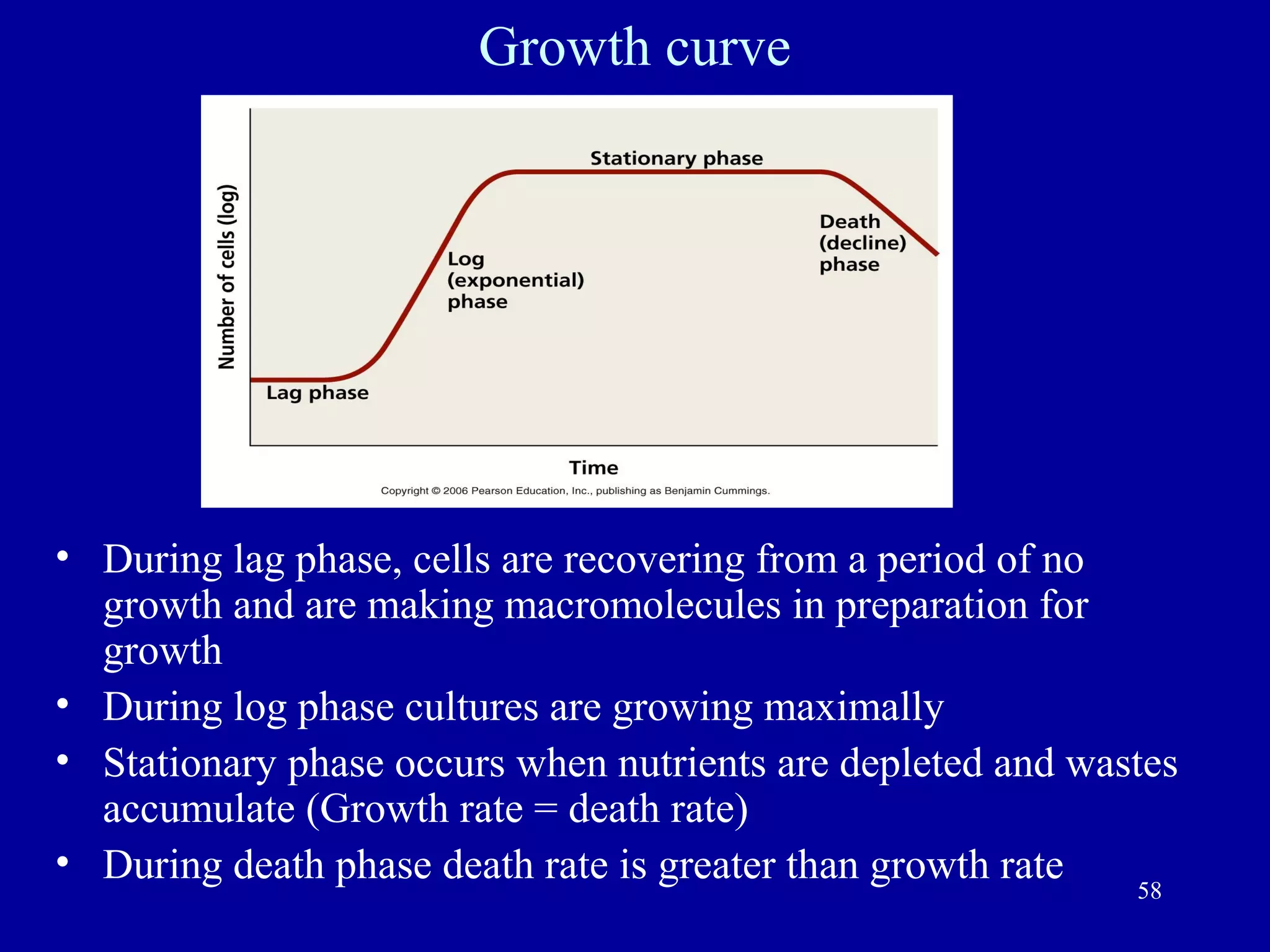 Growth curve




• During lag phase, cells are recovering from a period of no
  growth and are making macromolecules in preparation for
  growth
• During log phase cultures are growing maximally
• Stationary phase occurs when nutrients are depleted and wastes
  accumulate (Growth rate = death rate)
• During death phase death rate is greater than growth rate
                                                              58
 