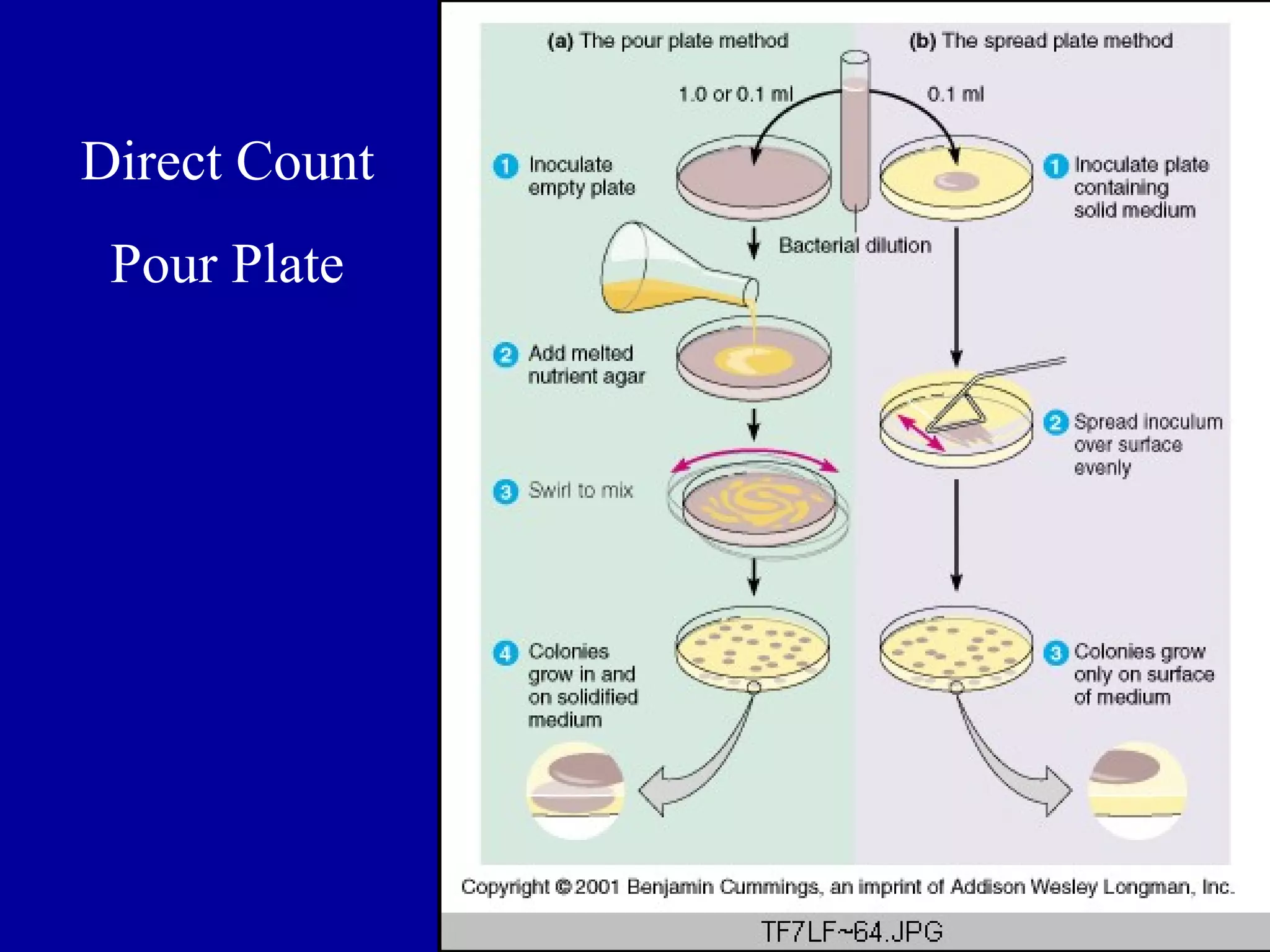 Direct Count
 Pour Plate




               61
 