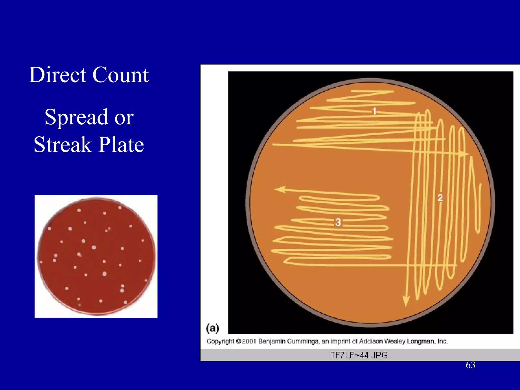 Direct Count
 Spread or
Streak Plate




               63
 