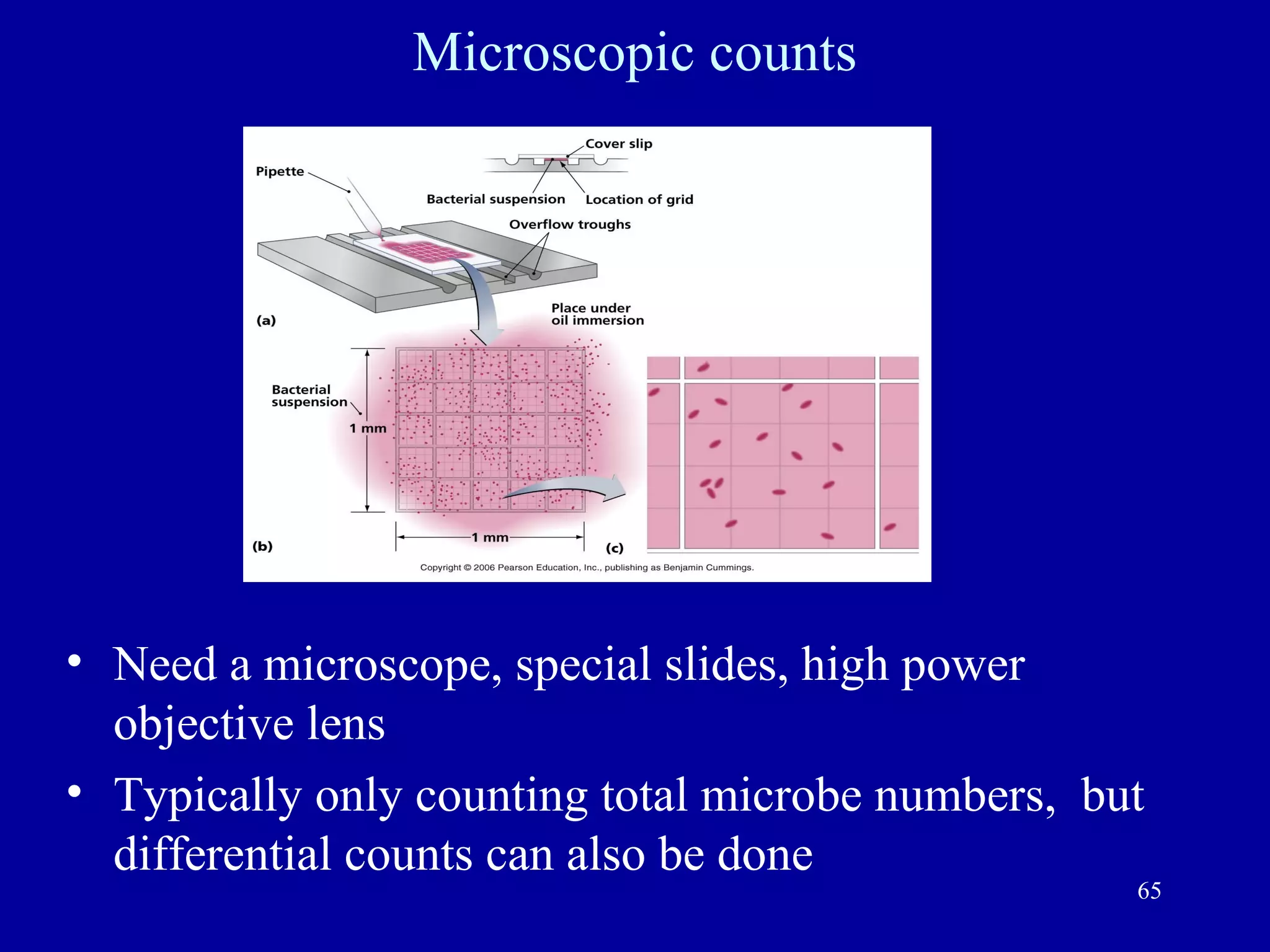 Microscopic counts




• Need a microscope, special slides, high power
  objective lens
• Typically only counting total microbe numbers, but
  differential counts can also be done
                                                   65
 