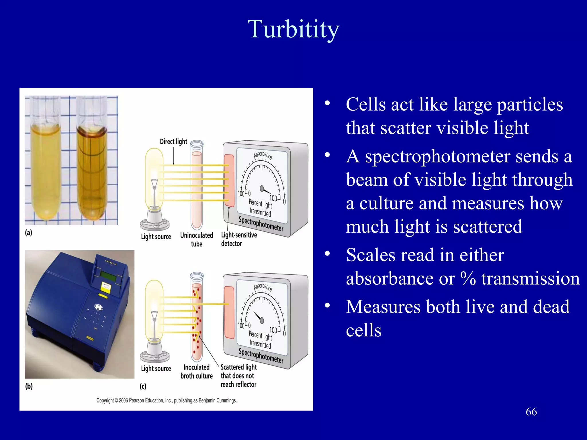 Turbitity

       • Cells act like large particles
         that scatter visible light
       • A spectrophotometer sends a
         beam of visible light through
         a culture and measures how
         much light is scattered
       • Scales read in either
         absorbance or % transmission
       • Measures both live and dead
         cells



                                66
 