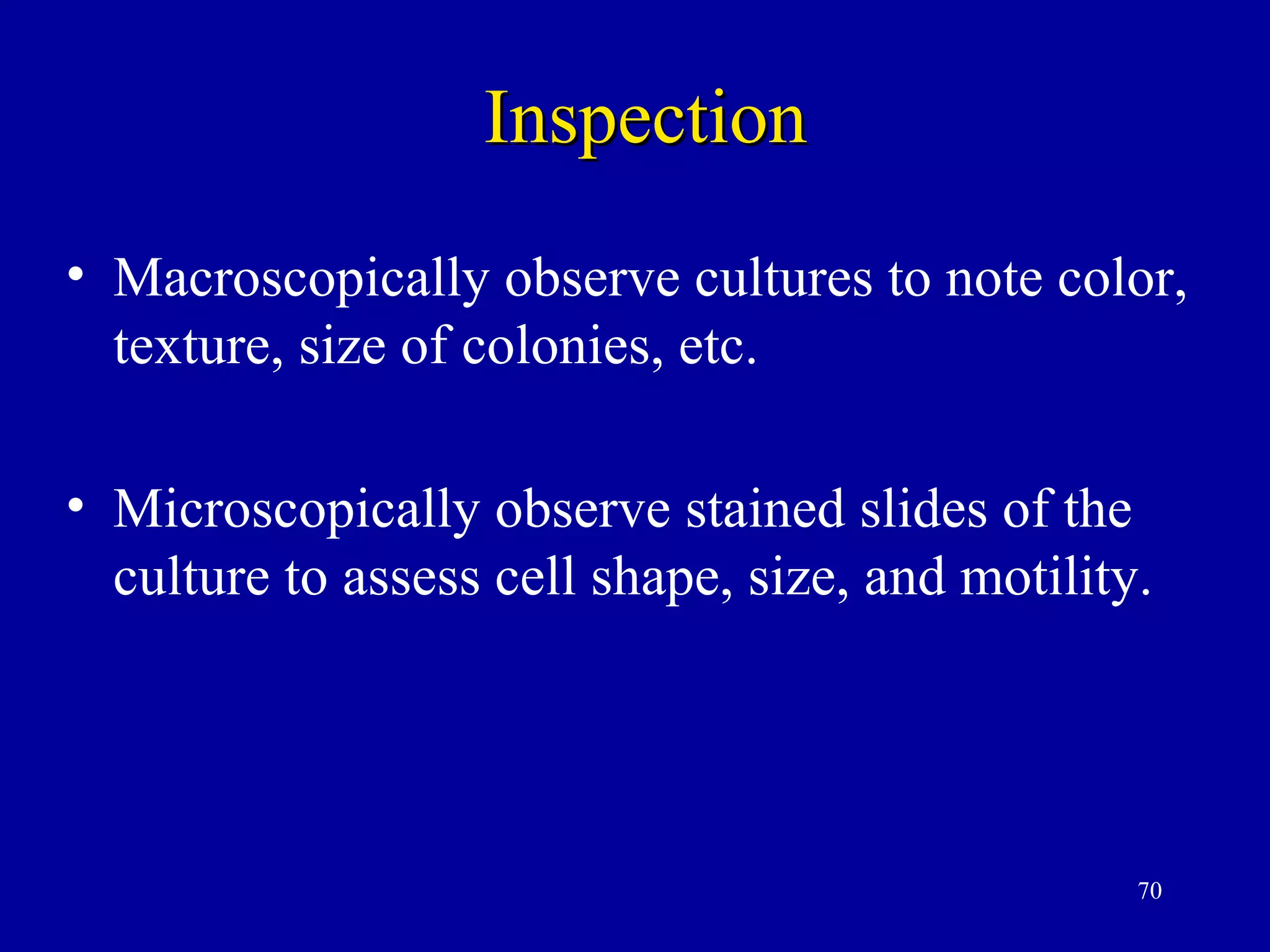 Inspection
• Macroscopically observe cultures to note color,
  texture, size of colonies, etc.

• Microscopically observe stained slides of the
  culture to assess cell shape, size, and motility.




                                                  70
 