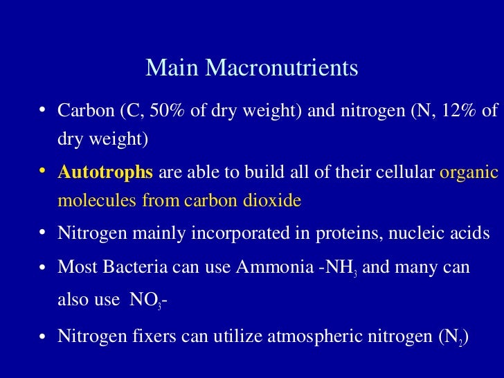 The Primary Macro Nutrients
