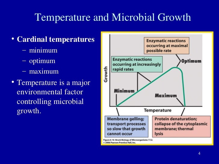Lecture 3 bacterial nutrition and growth