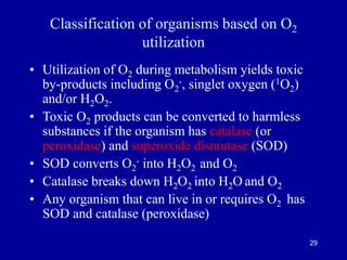 O2 To 1o2 Lecture 3- Bacterial Nutrition and Growth-.ppt
