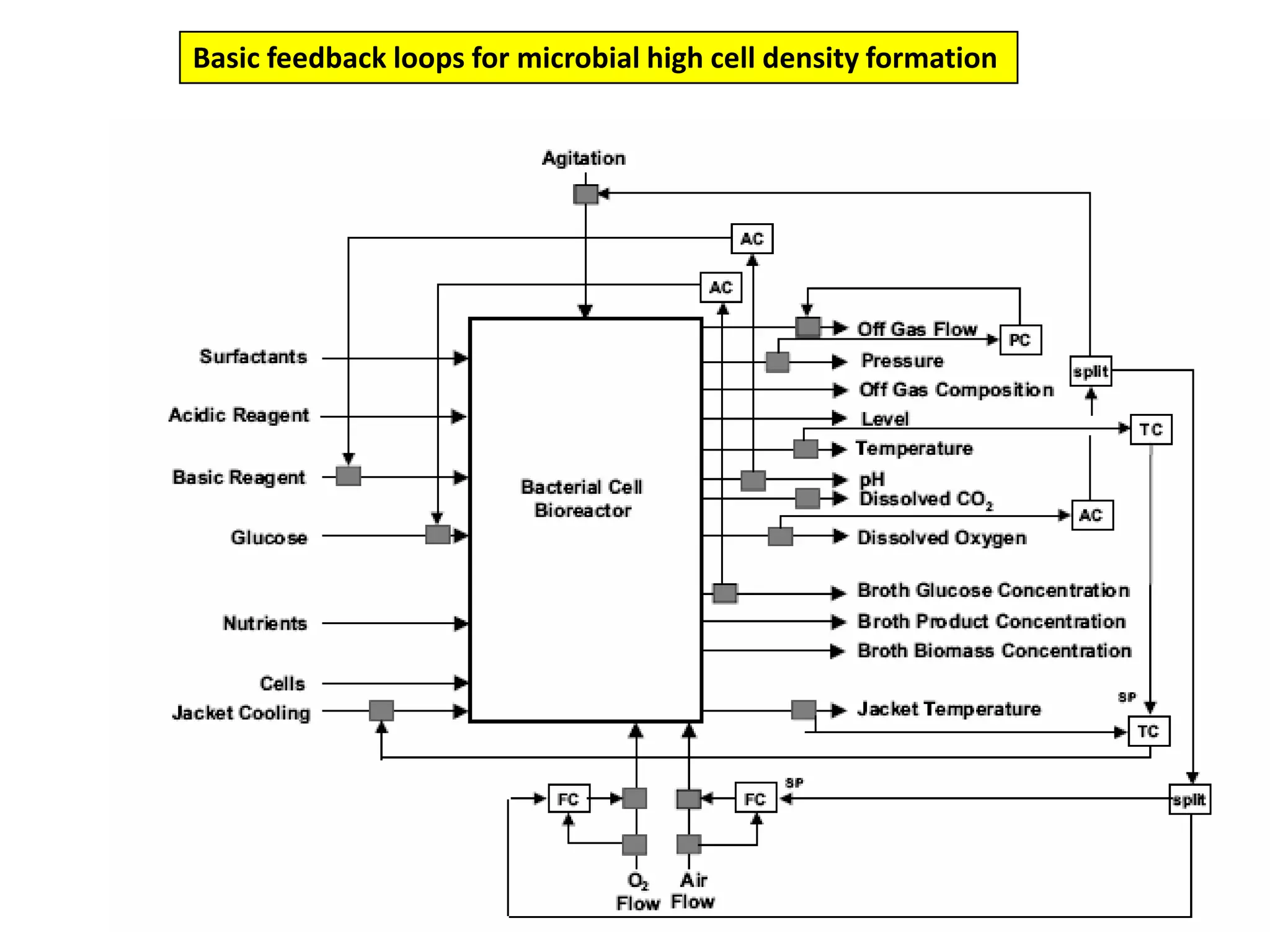 Basic feedback loops for microbial high cell density formation