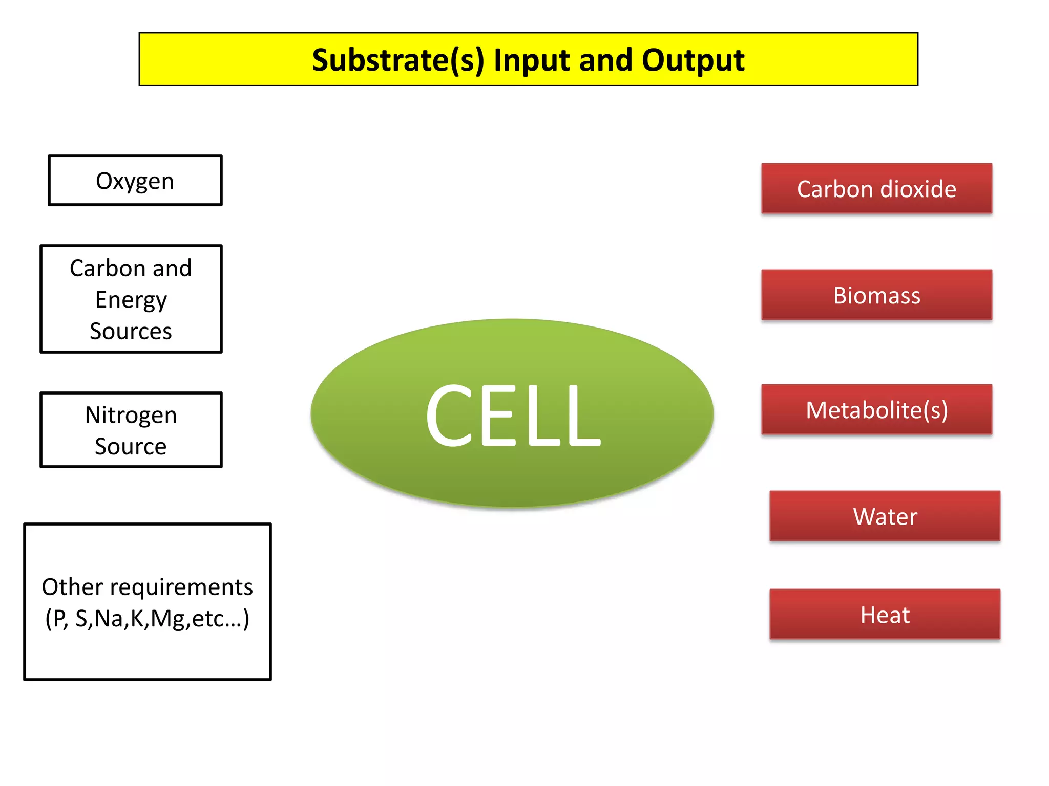 Substrate(s) Input and OutputOxygenCarbon dioxide Carbon and Energy Sources  BiomassCELLMetabolite(s)Nitrogen SourceWater Other requirements(P, S,Na,K,Mg,etc…)Heat