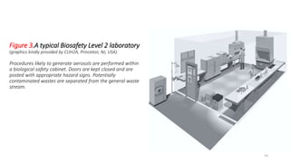Figure 3.A typical Biosafety Level 2 laboratory
(graphics kindly provided by CUH2A, Princeton, NJ, USA).
Procedures likely to generate aerosols are performed within
a biological safety cabinet. Doors are kept closed and are
posted with appropriate hazard signs. Potentially
contaminated wastes are separated from the general waste
stream.
14
 