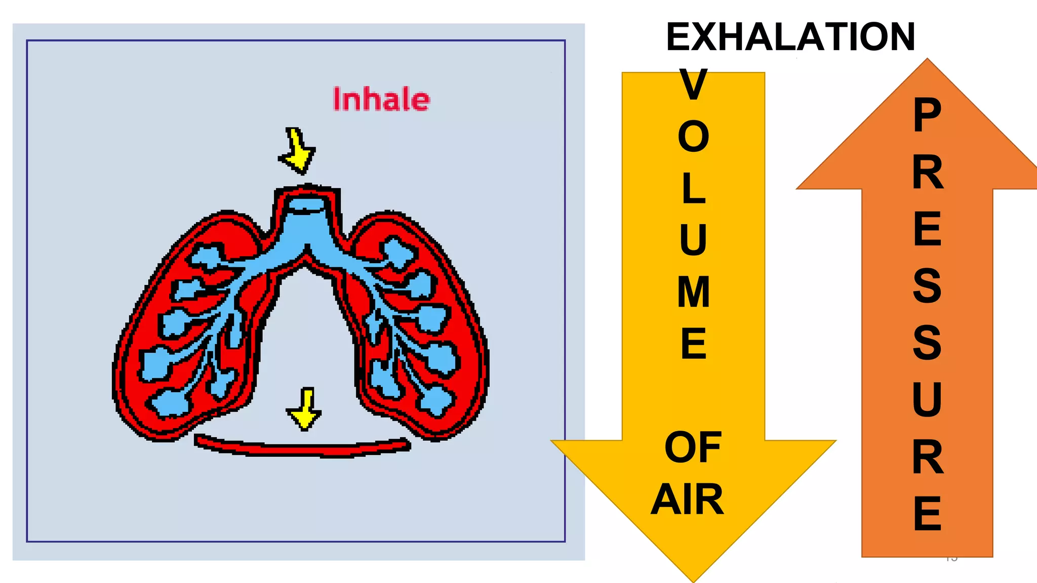 13
V
O
L
U
M
E
OF
AIR
EXHALATION
P
R
E
S
S
U
R
E
 