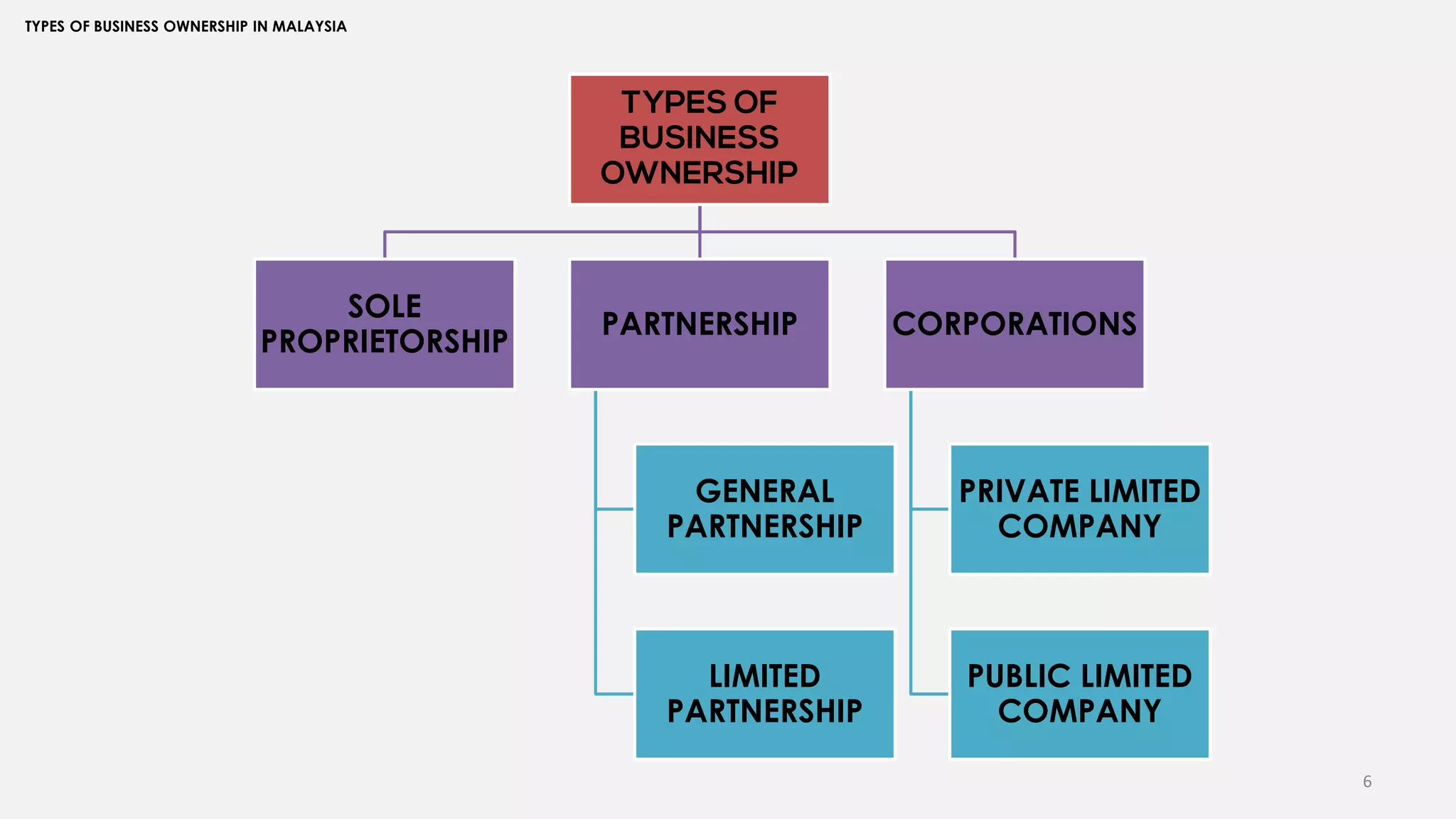 6
TYPES OF BUSINESS OWNERSHIP IN MALAYSIA
TYPES OF
BUSINESS
OWNERSHIP
SOLE
PROPRIETORSHIP
PARTNERSHIP
GENERAL
PARTNERSHIP
LIMITED
PARTNERSHIP
CORPORATIONS
PRIVATE LIMITED
COMPANY
PUBLIC LIMITED
COMPANY
 