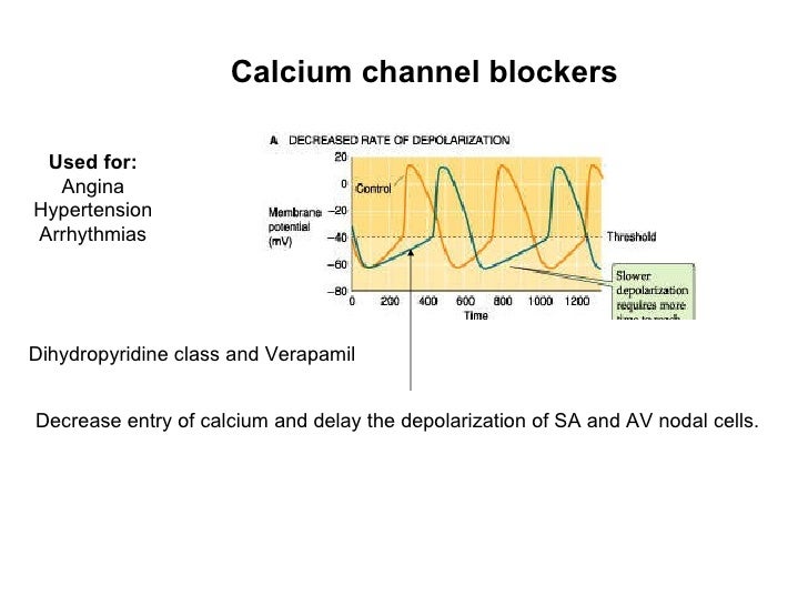 Lecture 3 cardiac electrophysiology part i