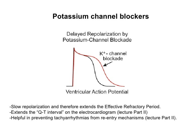 Lecture 3 cardiac electrophysiology part i