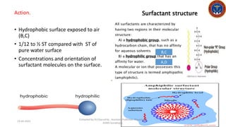 lecture 3/2023-Respiratory Physiology - compliance I.pdf