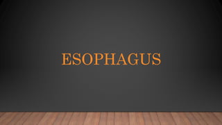 ESOPHAGUS
 