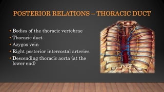 POSTERIOR RELATIONS – THORACIC DUCT
• Bodies of the thoracic vertebrae
• Thoracic duct
• Azygos vein
• Right posterior intercostal arteries
• Descending thoracic aorta (at the
lower end)
 