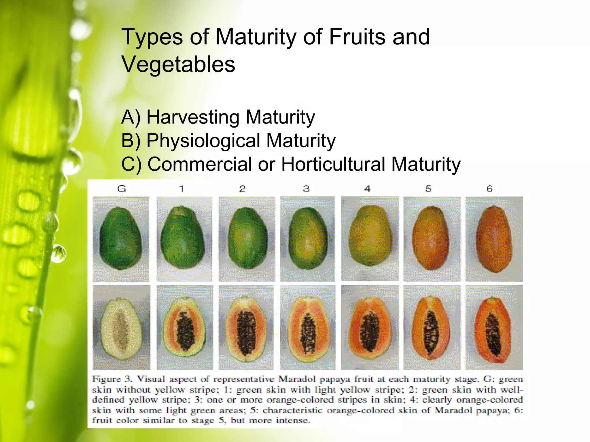Lecture 3: Fruits and Vegetables Harvesting | PPT