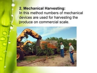 Lecture 3: Fruits and Vegetables Harvesting | PPT