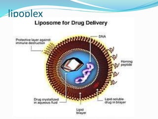 lipoplex
 