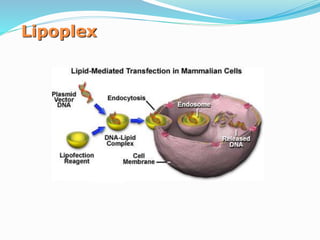 Lipoplex
 