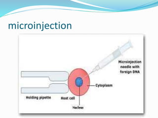 microinjection
 