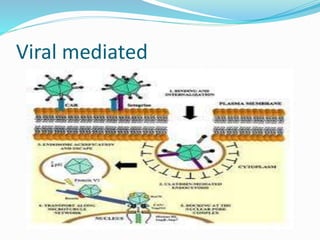 Viral mediated
 