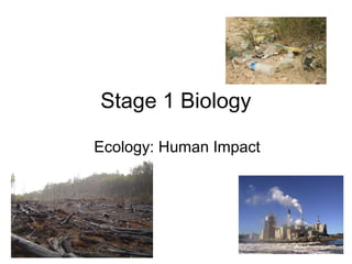 Stage 1 Biology
Ecology: Human Impact
 