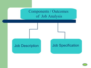 Components / Outcomes
of Job Analysis
Job Description Job Specification
 