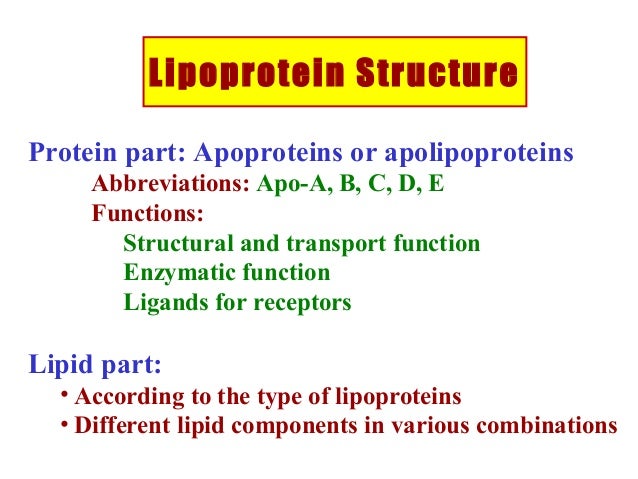 - lipoproteins b part the composition of lipoproteins 3 Lecture metabolism