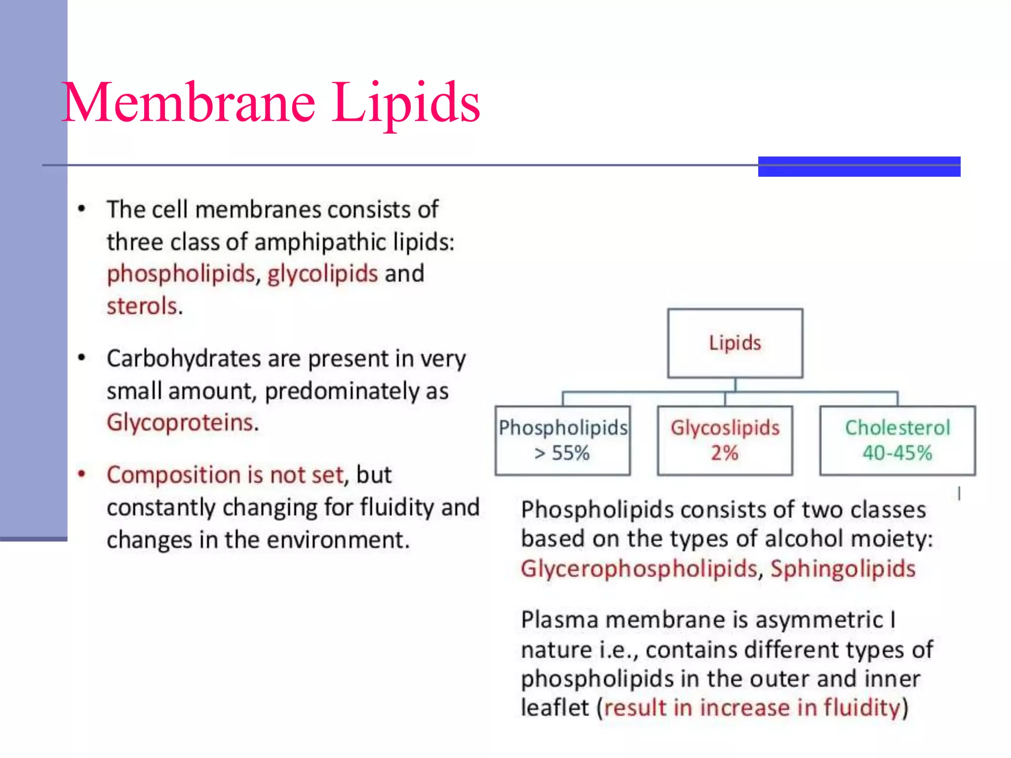 Membrane Lipids
 