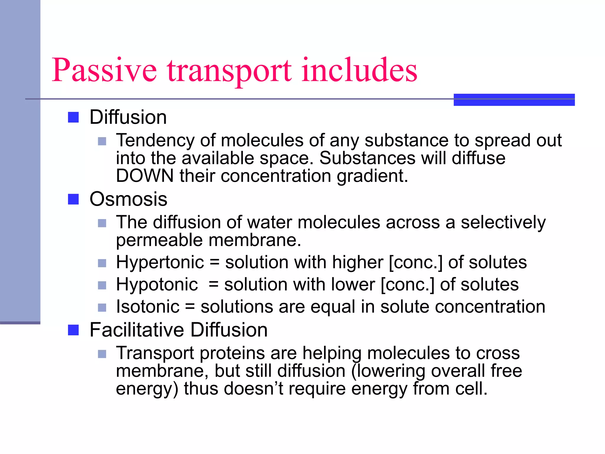 Passive transport includes
 Diffusion
 Tendency of molecules of any substance to spread out
into the available space. Substances will diffuse
DOWN their concentration gradient.
 Osmosis
 The diffusion of water molecules across a selectively
permeable membrane.
 Hypertonic = solution with higher [conc.] of solutes
 Hypotonic = solution with lower [conc.] of solutes
 Isotonic = solutions are equal in solute concentration
 Facilitative Diffusion
 Transport proteins are helping molecules to cross
membrane, but still diffusion (lowering overall free
energy) thus doesn’t require energy from cell.
 