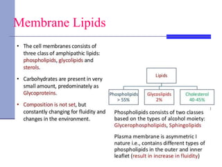 Cell Membrane Structure and Function.ppt