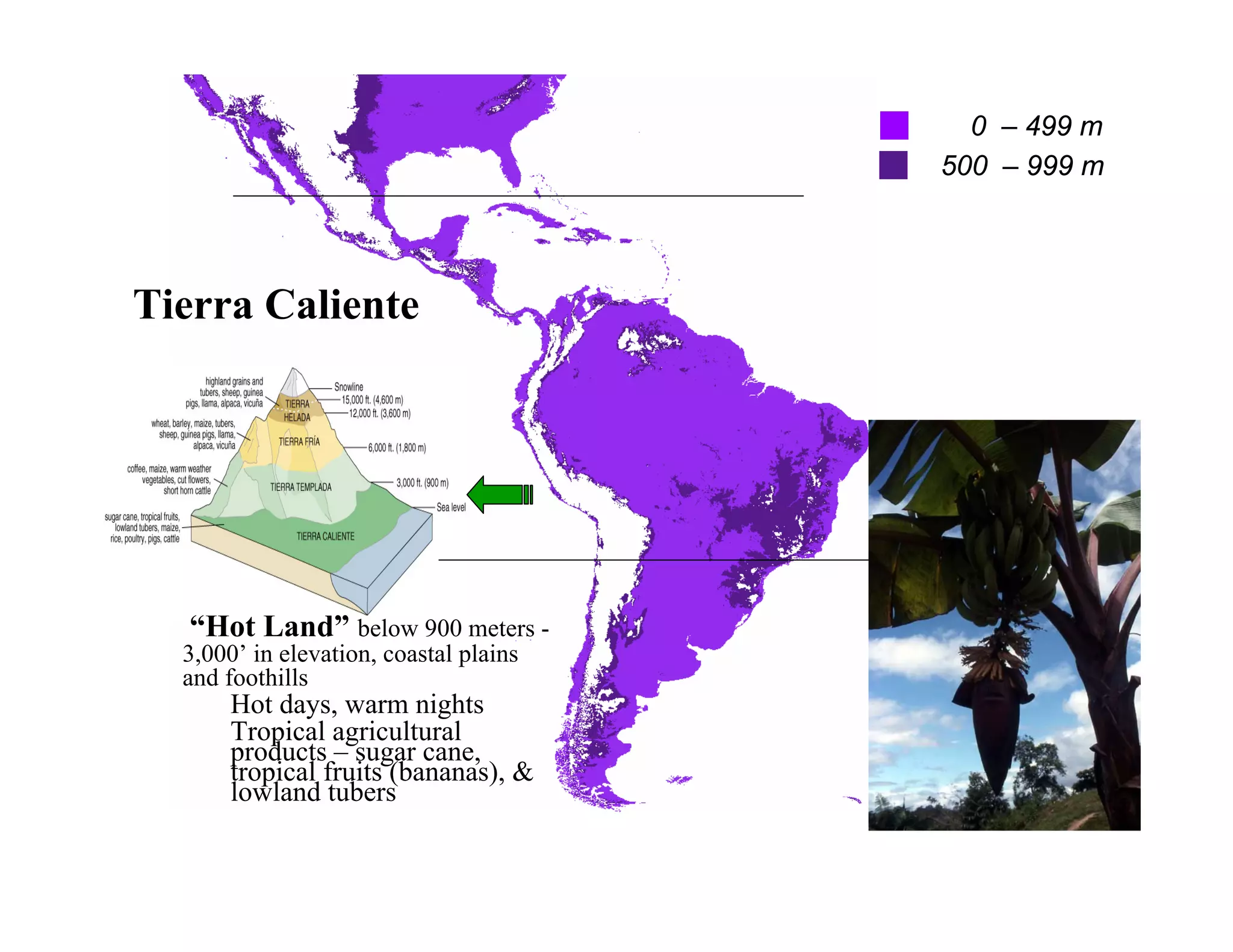 0 – 499 m
                                        500 – 999 m




Tierra Caliente




  “Hot Land” below 900 meters -
  3,000’ in elevation, coastal plains
  and foothills
      Hot days, warm nights
      Tropical agricultural
      products – sugar cane,
      tropical fruits (bananas), &
      lowland tubers
 