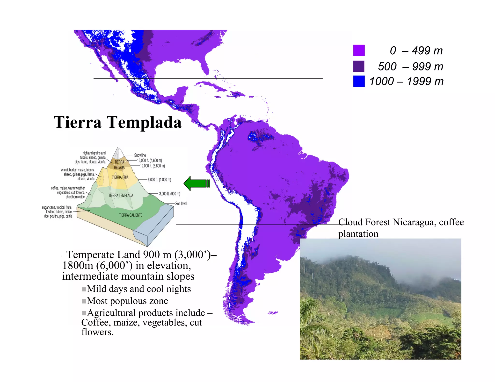 0 – 499 m
                                                500 – 999 m
                                               1000 – 1999 m


Tierra Templada




                                        Cloud Forest Nicaragua, coffee
                                        plantation

–Temperate   Land 900 m (3,000’)–
 1800m (6,000’) in elevation,
 intermediate mountain slopes
      Mild days and cool nights
      Most populous zone
      Agricultural products include –
    Coffee, maize, vegetables, cut
    flowers.
 