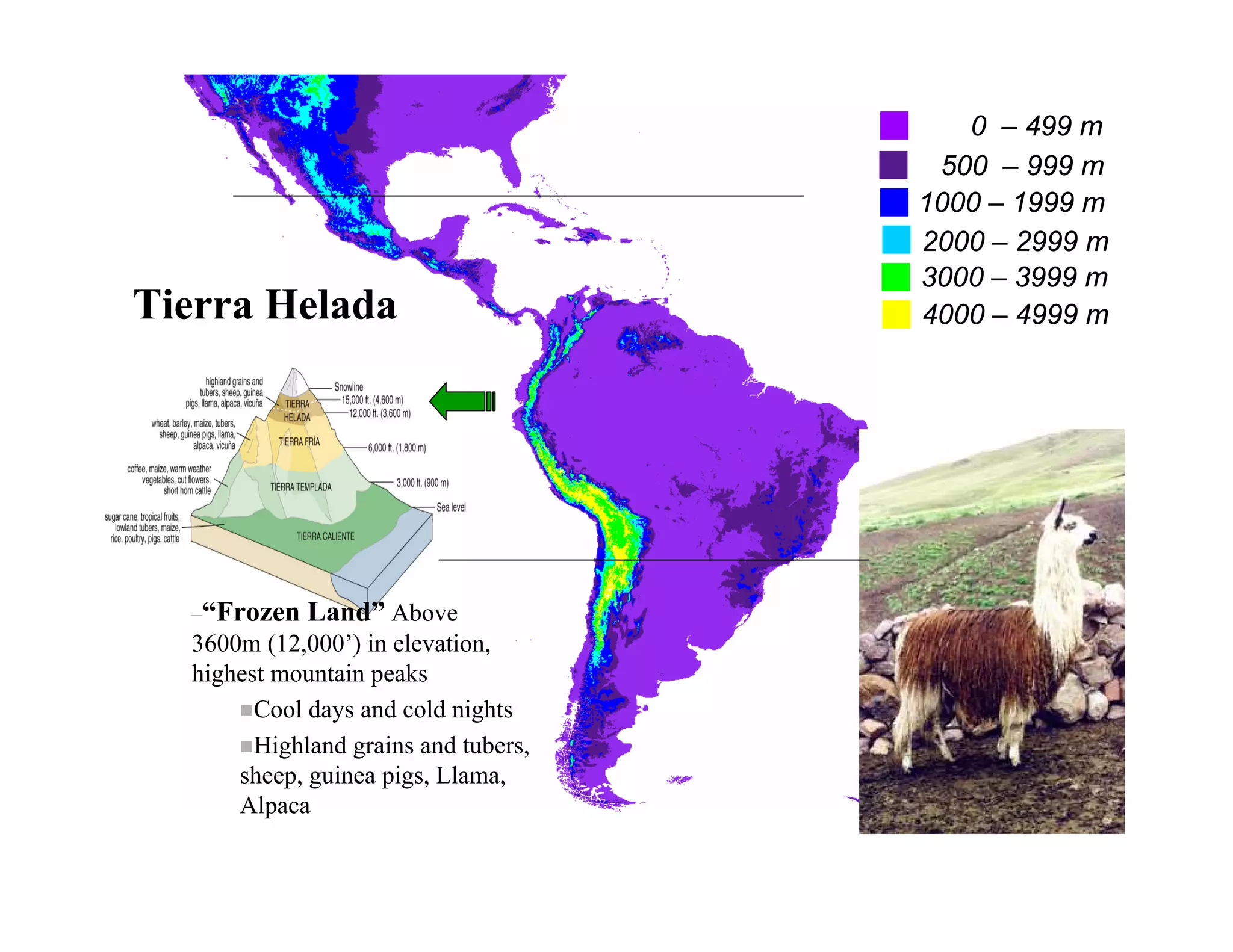 0 – 499 m
                                       500 – 999 m
                                      1000 – 1999 m
                                      2000 – 2999 m
                                      3000 – 3999 m
Tierra Helada                         4000 – 4999 m




  –“Frozen   Land” Above
  3600m (12,000’) in elevation,
  highest mountain peaks
        Cool days and cold nights
        Highland grains and tubers,
      sheep, guinea pigs, Llama,
      Alpaca
 