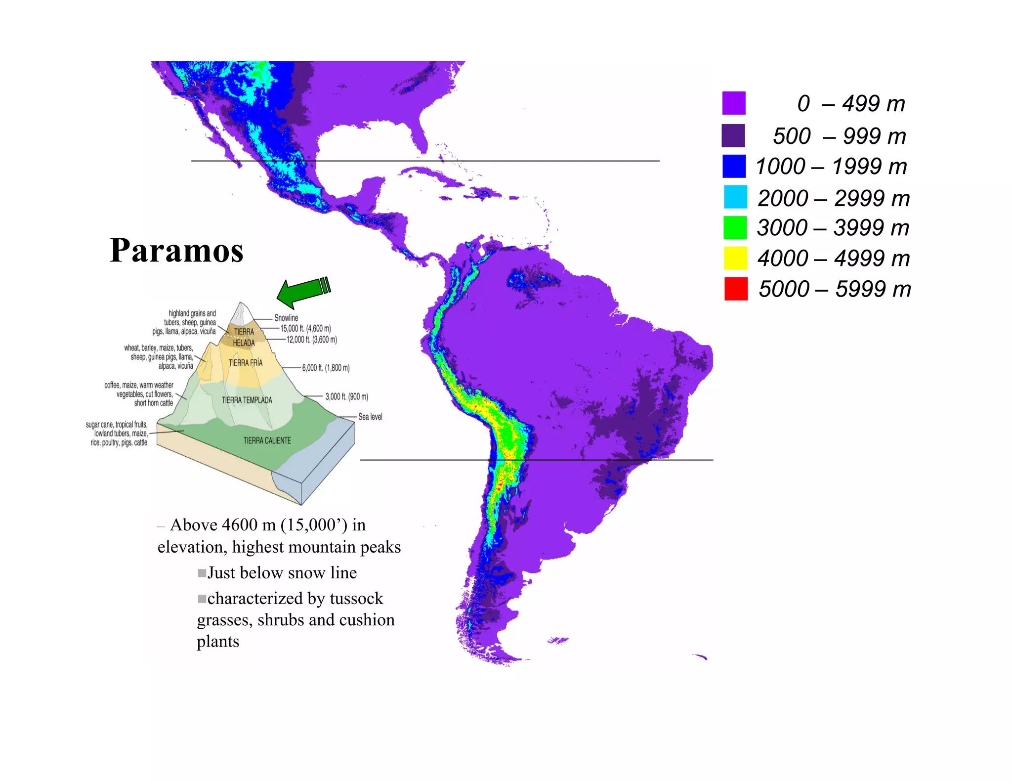 0 – 499 m
                                       500 – 999 m
                                      1000 – 1999 m
                                      2000 – 2999 m
                                      3000 – 3999 m
Paramos                               4000 – 4999 m
                                      5000 – 5999 m




  – Above 4600 m (15,000’) in
  elevation, highest mountain peaks
         Just below snow line
         characterized by tussock
       grasses, shrubs and cushion
       plants
 