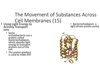 PLasma_membrane_transport_lecture__.pptx