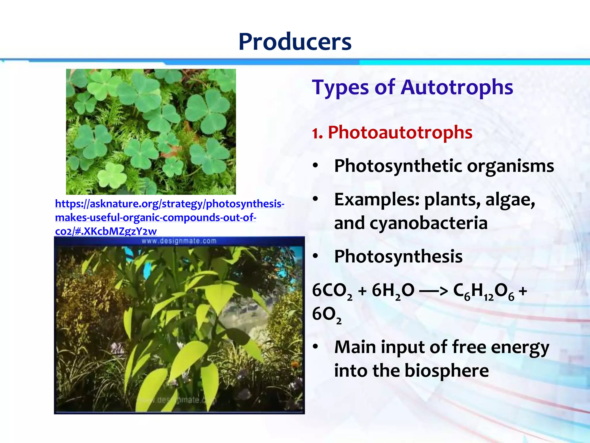 Lecture 3 producers | PPT