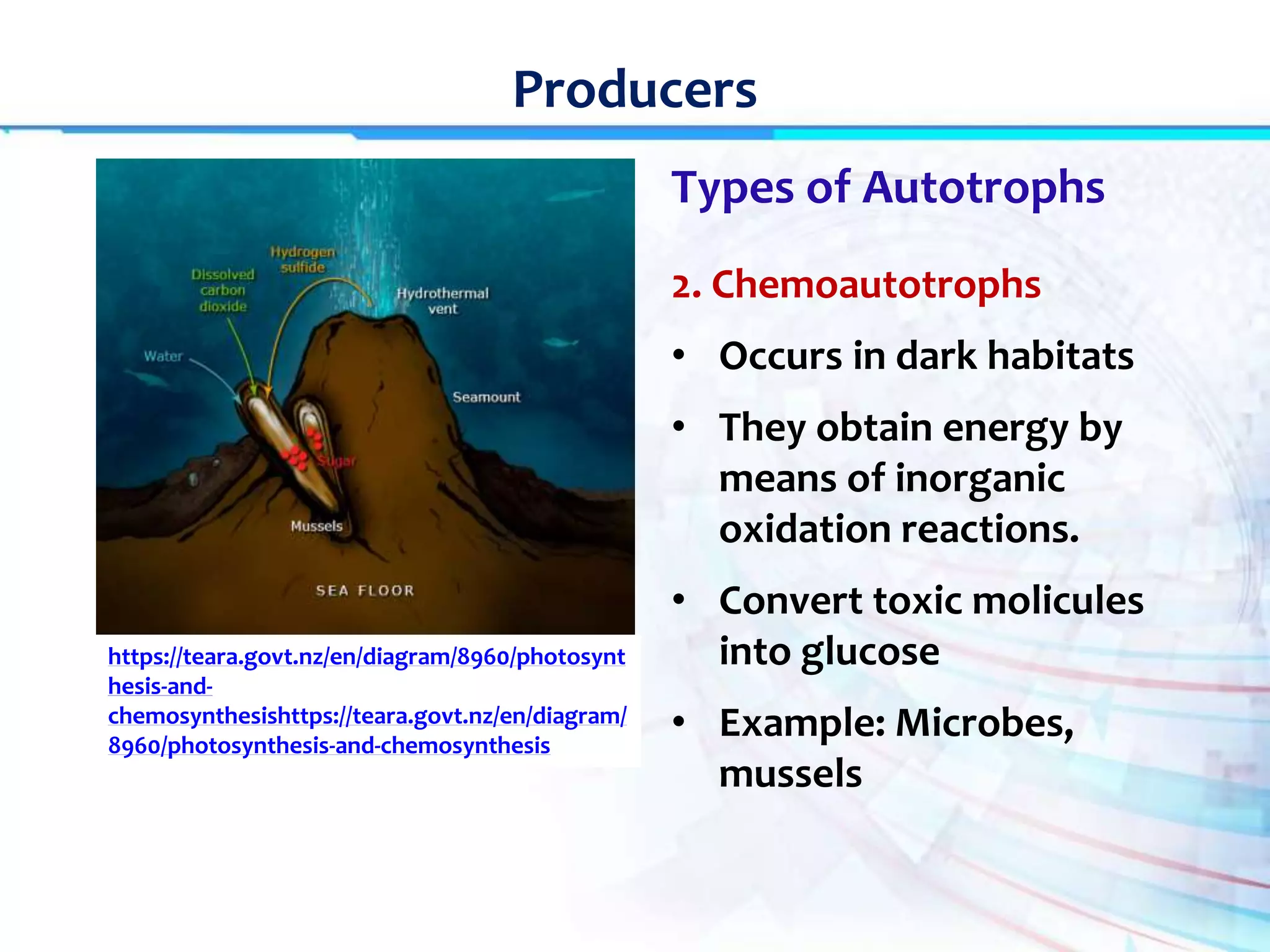 Lecture 3 producers | PPT