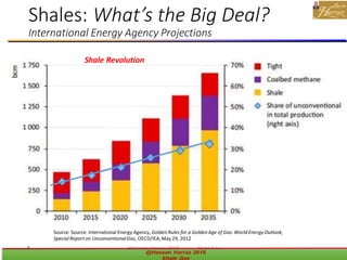 Shale Gas Resources | PDF