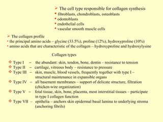  The cell type responsible for collagen synthesis
 fibroblasts, chondroblasts, osteoblasts
 odontoblasts
 endothelial cells
 vascular smooth muscle cells
 The collagen profile
• the principal amino acids – glycine (33.5%), proline (12%), hydroxyproline (10%)
• amino acids that are characteristic of the collagen – hydroxyproline and hydroxylysine
Collagen types
 Type I − the abundant: skin, tendon, bone, dentin – resistance to tension
 Type II − cartilage, vitreous body – resistance to pressure
 Type III − skin, muscle, blood vessels, frequently together with type I –
structural maintenance in expansible organs
 Type IV − all basement membranes – support of delicate structure, filtration
(chicken-wire organization)
 Type V − fetal tissue, skin, bone, placenta, most interstitial tissues – participate
in type I collagen function
 Type VII – epithelia – anchors skin epidermal basal lamina to underlying stroma
(anchoring fibrils)

 