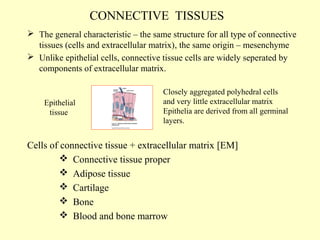 CONNECTIVE TISSUES
 The general characteristic – the same structure for all type of connective
tissues (cells and extracellular matrix), the same origin – mesenchyme
 Unlike epithelial cells, connective tissue cells are widely seperated by
components of extracellular matrix.

Epithelial
tissue

Closely aggregated polyhedral cells
and very little extracellular matrix
Epithelia are derived from all germinal
layers.

Cells of connective tissue + extracellular matrix [EM]
 Connective tissue proper
 Adipose tissue
 Cartilage
 Bone
 Blood and bone marrow

 