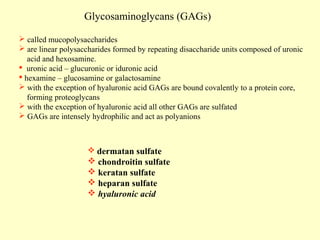 Glycosaminoglycans (GAGs)
 called mucopolysaccharides
 are linear polysaccharides formed by repeating disaccharide units composed of uronic
acid and hexosamine.
 uronic acid – glucuronic or iduronic acid
 hexamine – glucosamine or galactosamine
 with the exception of hyaluronic acid GAGs are bound covalently to a protein core,
forming proteoglycans
 with the exception of hyaluronic acid all other GAGs are sulfated
 GAGs are intensely hydrophilic and act as polyanions

 dermatan sulfate

 chondroitin sulfate
 keratan sulfate
 heparan sulfate
 hyaluronic acid

 
