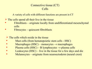 Connective tissue (CT)
Cells
A variety of cells with different functions are present in CT

 The cells spend all their live in the tissue

Fibroblasts – originate locally from undifferentiated mesenchymal
cells

Fibrocytes – quiescent fibroblasts
 The cells which reside in the tissue

Mast cells (from hematopoietic stem cells - HSC)

Macrophages (HSC) – monocytes → macrophages

Plasma cells (HSC) – B lymphocytes → plasma cells

Leukocytes (HSC) – live in the tissue for a few days and die

Melanocytes – originate from neuroectoderm (neural crest)

 