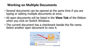 Multiple Windows Word Processing Lecture 3 use word processing for technical report | PPTX