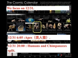 https://en.wikipedia.org/
wiki/Cosmic_Calendar
12/31 6:05 :Apes（类⼈猿）.
We focus on 12/31.
12/31 20:00 : Humans and Chimpanzees
split.
 